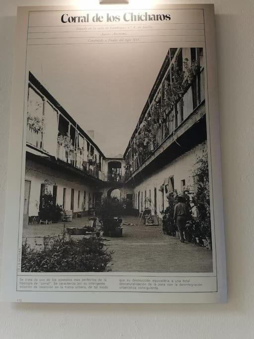 Apartamento Con Encanto En Patio Sevillano Zewnętrze zdjęcie
